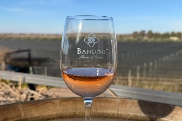 Finca Bandini
