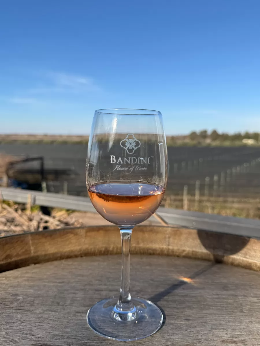 Finca Bandini
