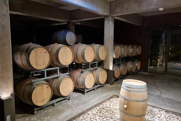 Bodega Quimera