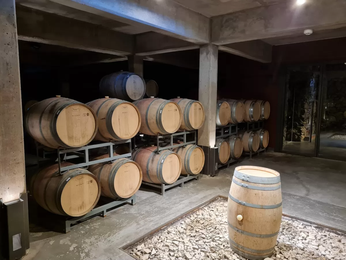 Bodega Quimera