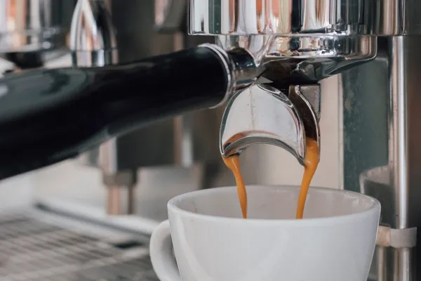 White Shark Coffee