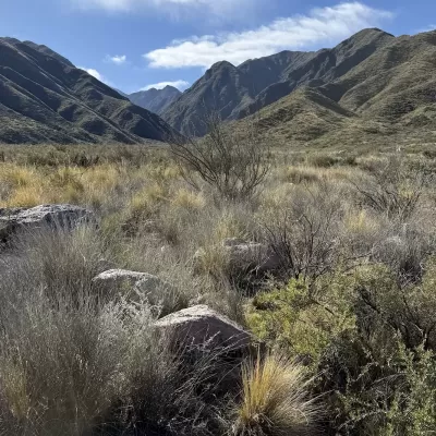 Foto de perfil de Quebrada de Los Berros