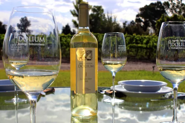 Bodega Dolium
