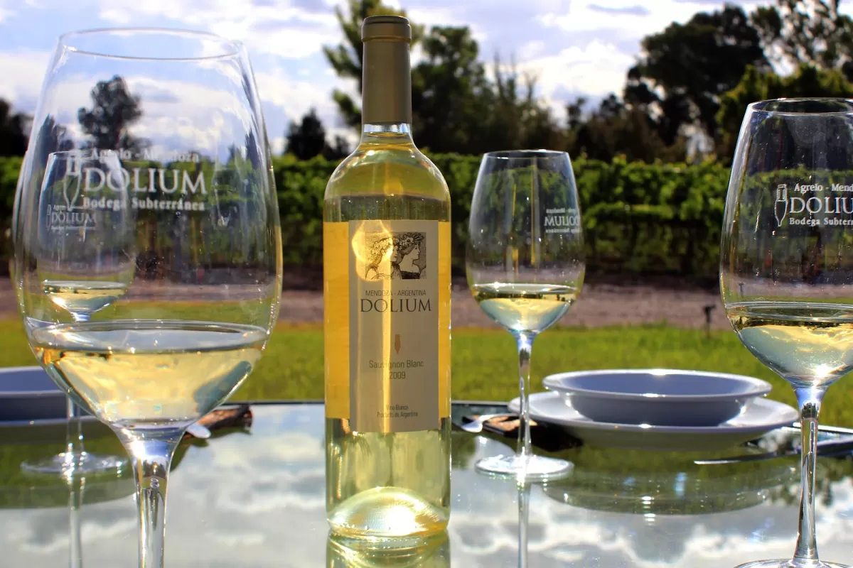 Bodega Dolium