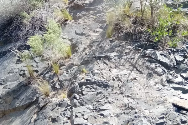 Quebrada de Los Berros
