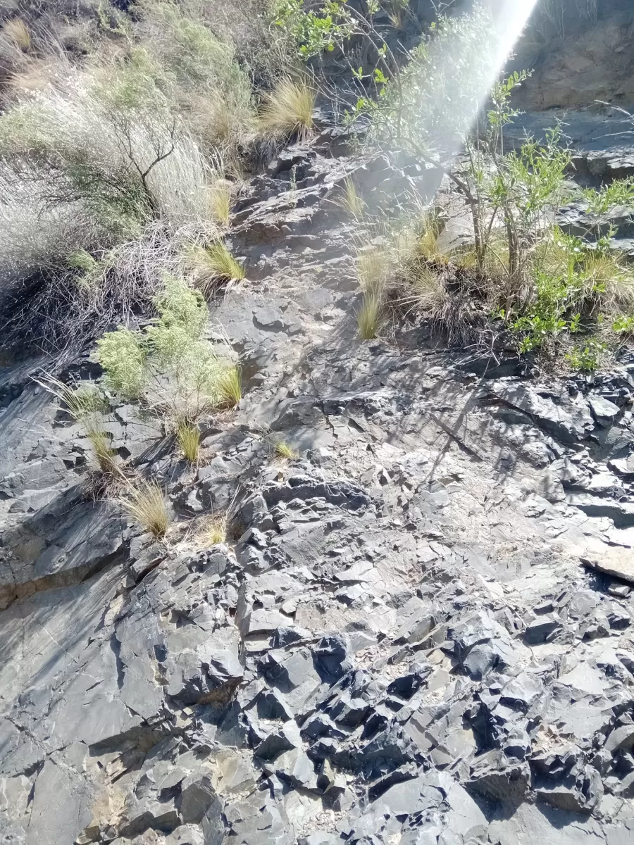 Quebrada de Los Berros