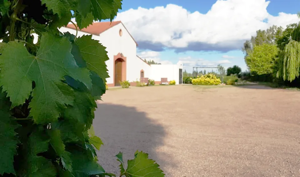 Bodega Familia Cassone