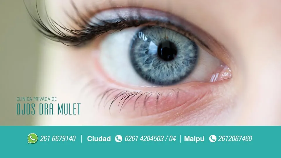 Clínica Mulet
