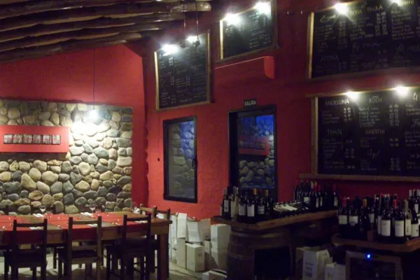 Tupungato Divino