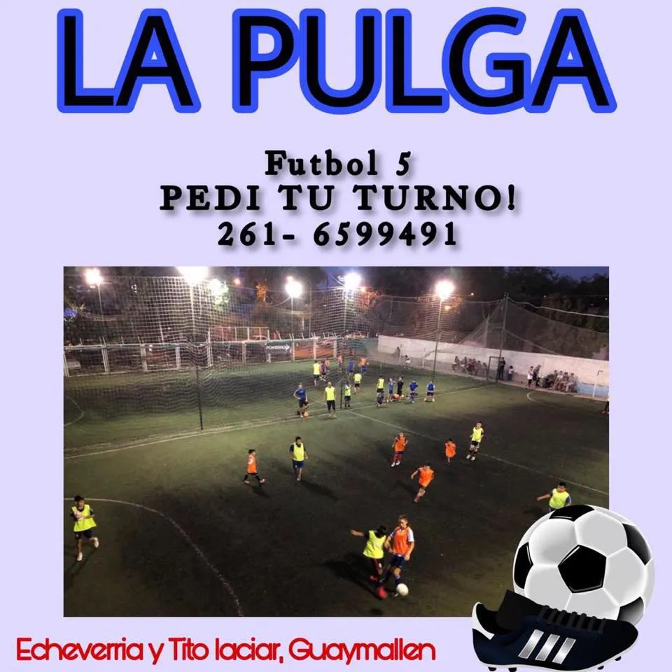 La pulga fútbol 5