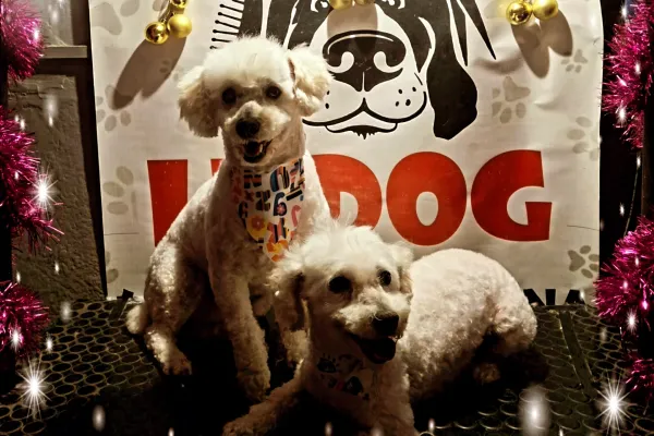 Peluquería Canina Le Dog