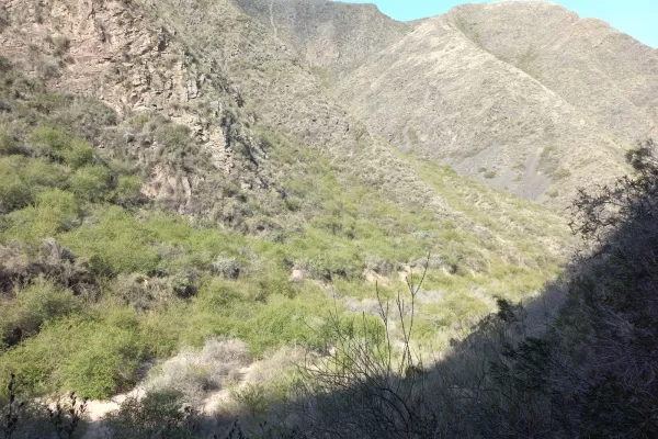 Quebrada de Los Berros