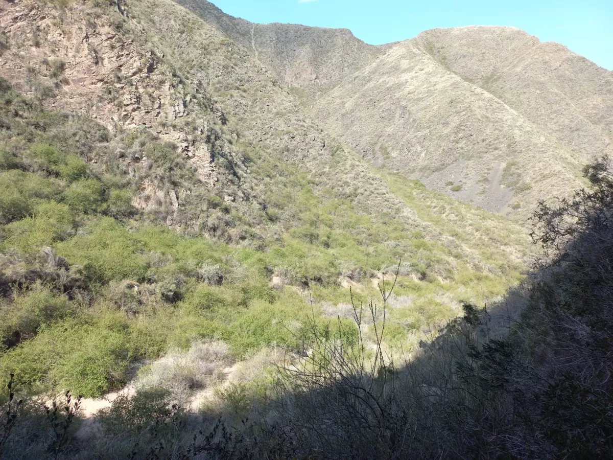 Quebrada de Los Berros