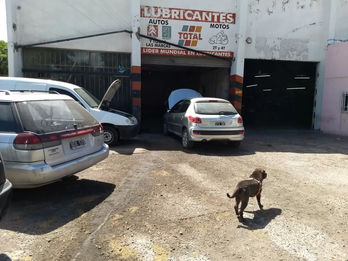Sergio Dalmaso Servicio Mecánico