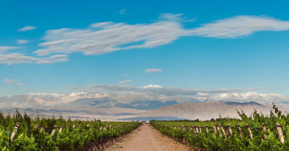 Bodega Lamadrid