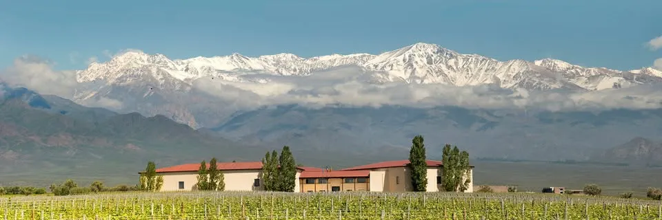 Bodega Cuvelier Los Andes