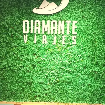 Foto de perfil de DIAMANTE VIAJES