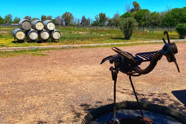 Bodega Dolium