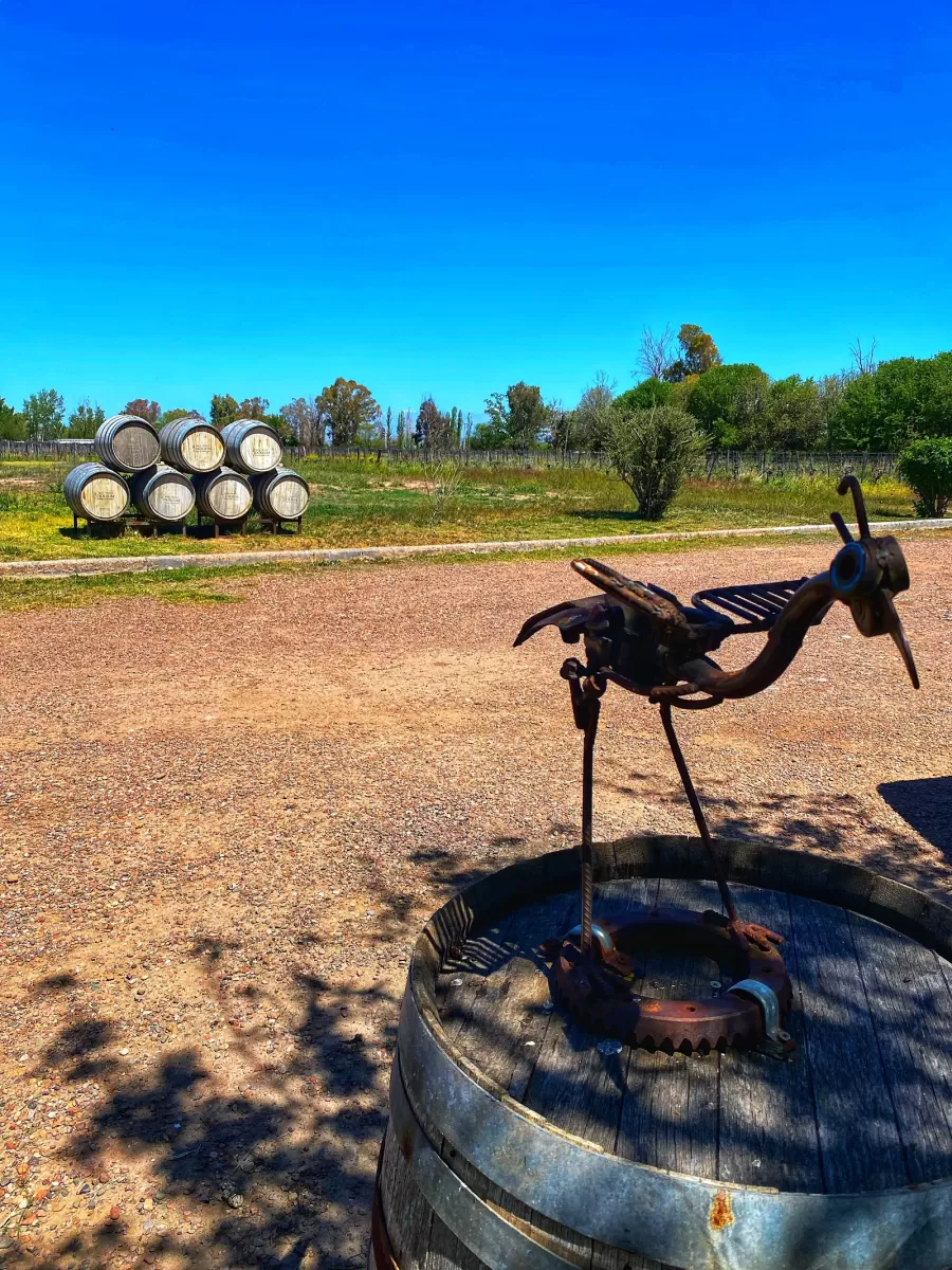 Bodega Dolium