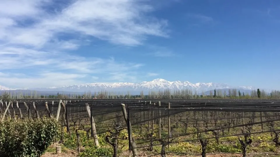Bodega Monte Quieto