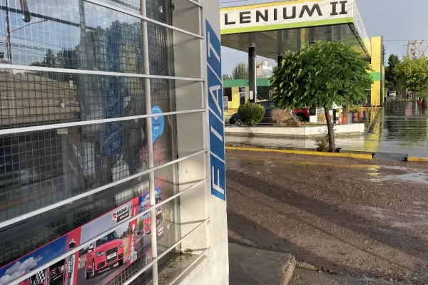 Repuestos MOLINA