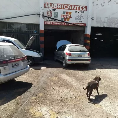 Foto de perfil de Sergio Dalmaso Servicio Mecánico
