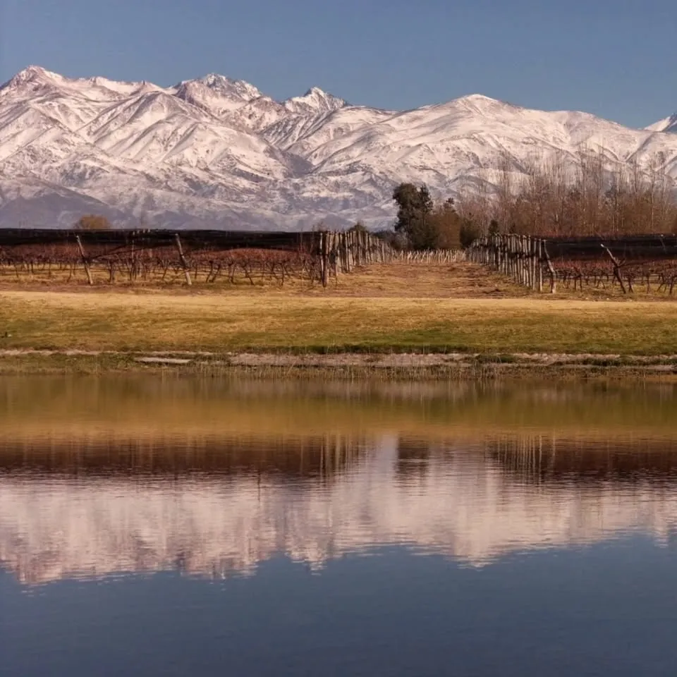 Bodega Domaine Bousquet