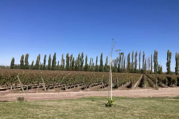 Finca La Malka