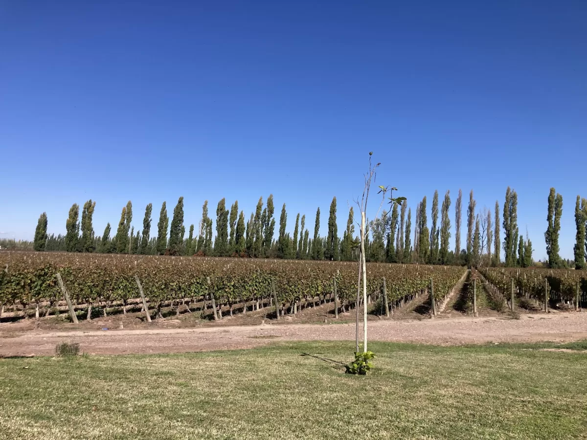 Finca La Malka
