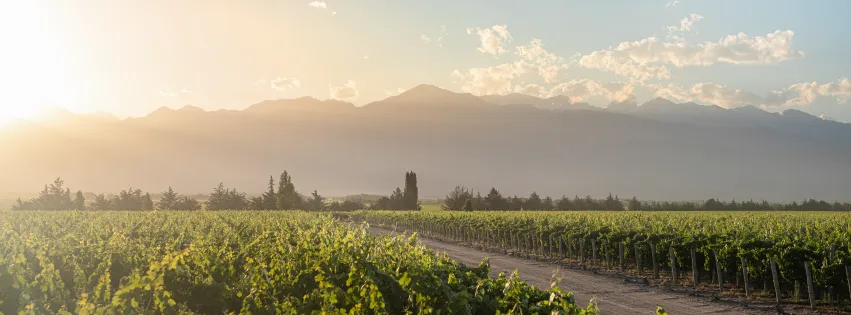 Bodega Luigi Bosca