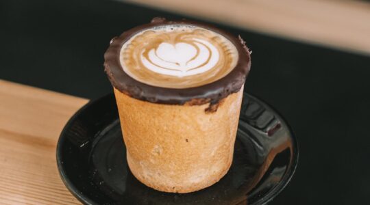 shelbycasacafe 1771013791314