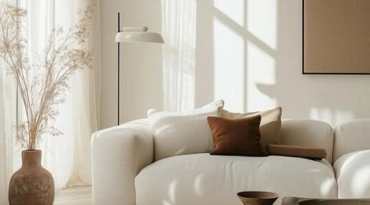 495157343 2406571549698431 3567772473321743163 n