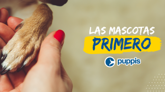 En Mendoza 11 325601350 744817380398332 1476677360856882417 n e1775166494914