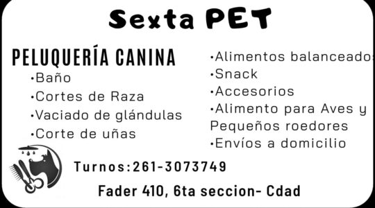 En Mendoza 1 475777039 1170974168367132 8766611560921596288 n