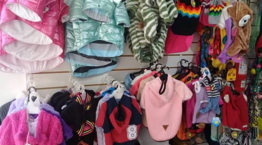 En Mendoza 5 484171019 1211943587298927 2670889676102389606 n