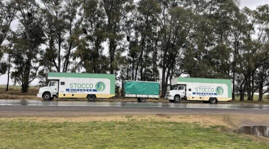 497498659 1379357687126136 2287438988379540006 n