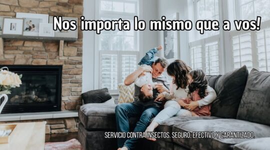 Home 5 7 502560898 1299396255526899 1356783424282338235 n