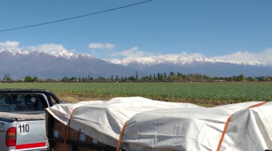 fletes y mudanzas samuel 1637527106 2712096399479355717 48311714640