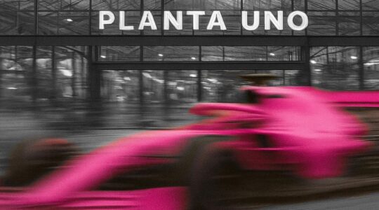 plantaunomercado 1780089293125